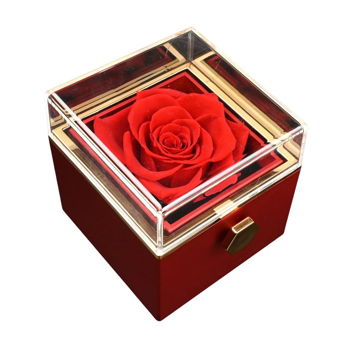 Preserved Rose Engraved Necklace with Names